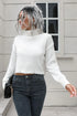 'Anouk' Turtleneck Cropped Sweater - Celes Fashion